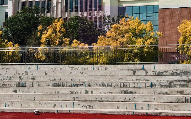 抽象地图叠加草原蓝与金色坐标